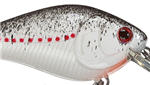 crankbait spotted shad