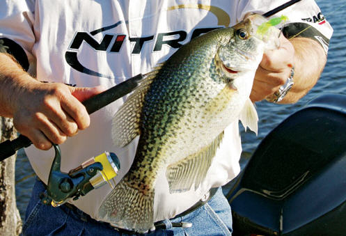 Tips for Crappie Lure Colors