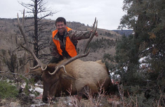 elk hunt 4 1129