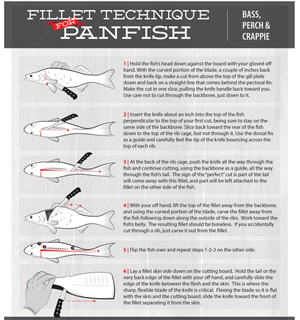 fillet guide panfish
