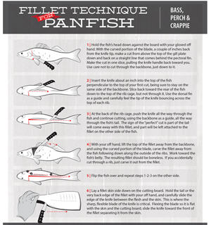 Why You Should Stop Using Dinky Little Panfish Rods AnglingBuzz