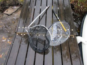 fish nets record muskie