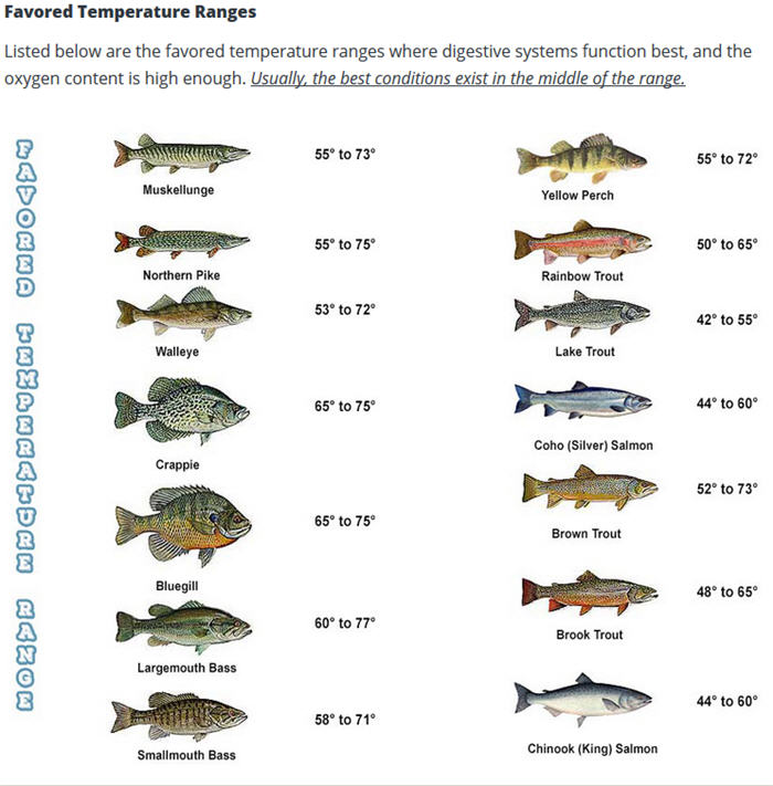 Favored water temperature ranges for, credit Mepps Fishing