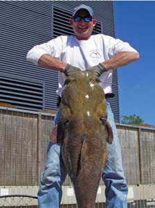 Angler holding a large flathead catfish