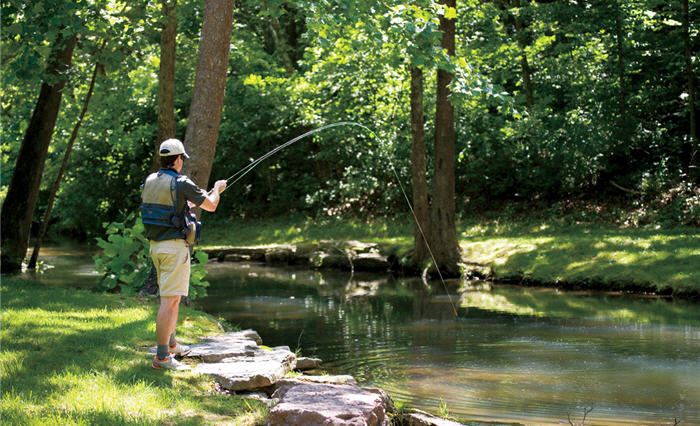 fly fishing beginner