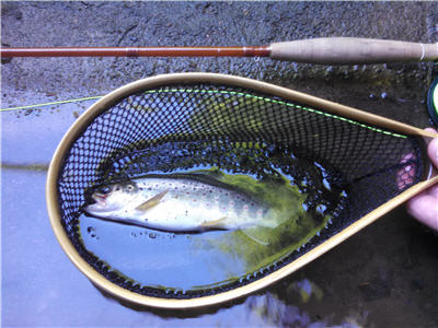 fly rod fiberglass