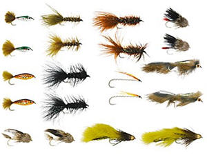 The Best Winter Flies and How to Fish Them 