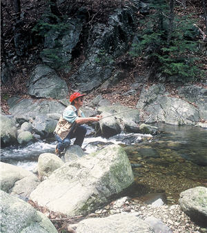 Fish the Finest Brook Trout Streams at Shenandoah Park