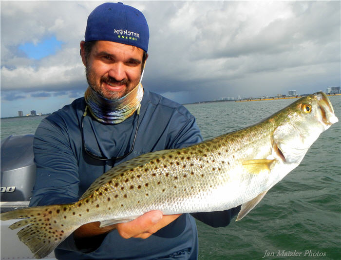 Pier Fish CAN'T RESIST Live Mullet Bait! 