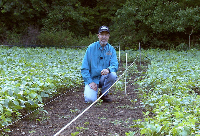 Grant Woods and hot zone electric fence