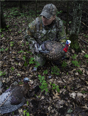 hunter turkey decoy300b