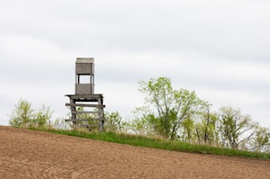 Hunting Stand