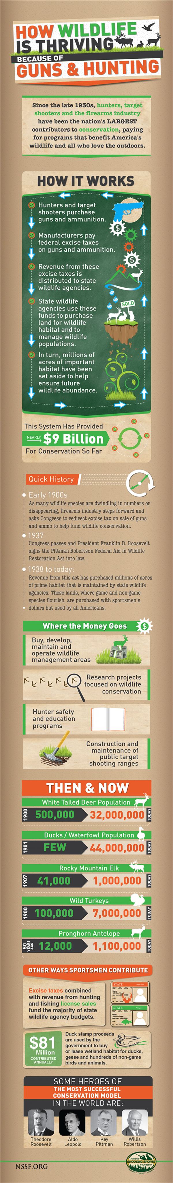 infographic howwildlifeisthriving because ofguns