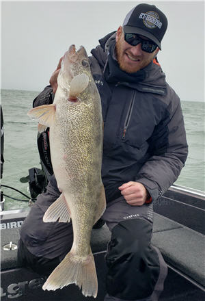 Trolling for Lk. ERIE WALLEYE and Cabela's Advanced Angler planer board  Review 