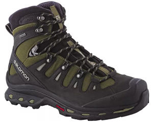 Salomon Quest 4DHiking Boots for Men