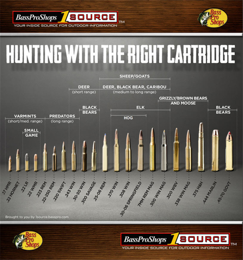 Hunting Rife Cartridge Chart
