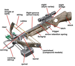 parts of a compound bow