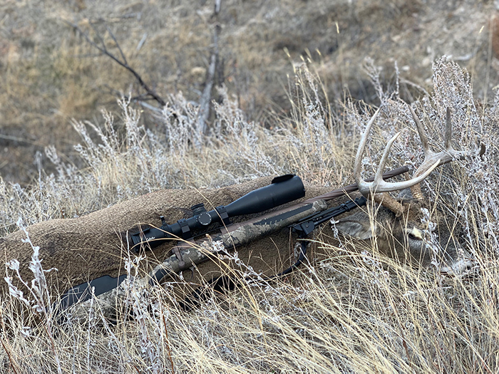 Savage 110 High Country Rifle Whitetail Hunt