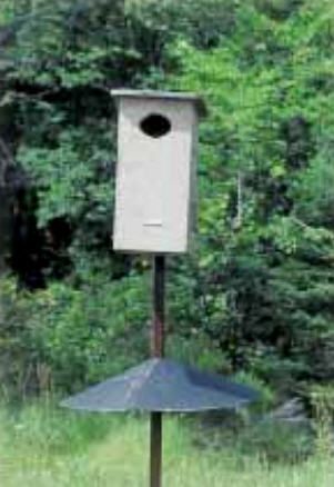 Ducks nesting box