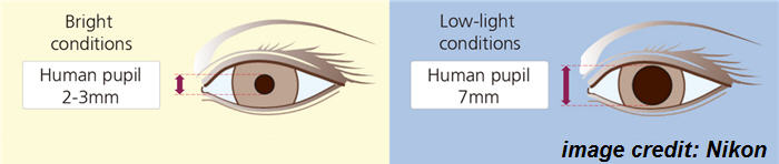 human eye pupil bright / low-light conditions 