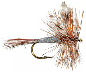 12 Best Trout Fishing Flies That Go-Anywhere (video)
