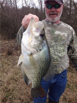 Big crappie caught on Guntersville lake