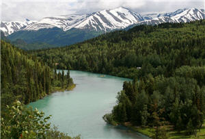 Kenai Rever - Alaska