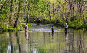 3 Anglers fishing in a river in Montauk State Park, Missouri