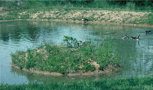How To Make A Duck Pond For Hunting Top Tips Tricks