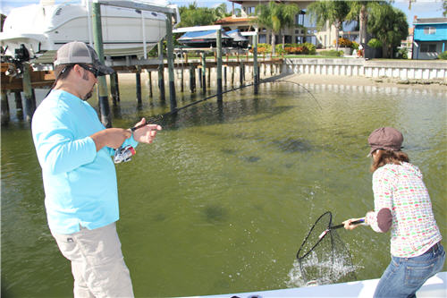 2 Anglers netting a sheepshead catch off a dock
