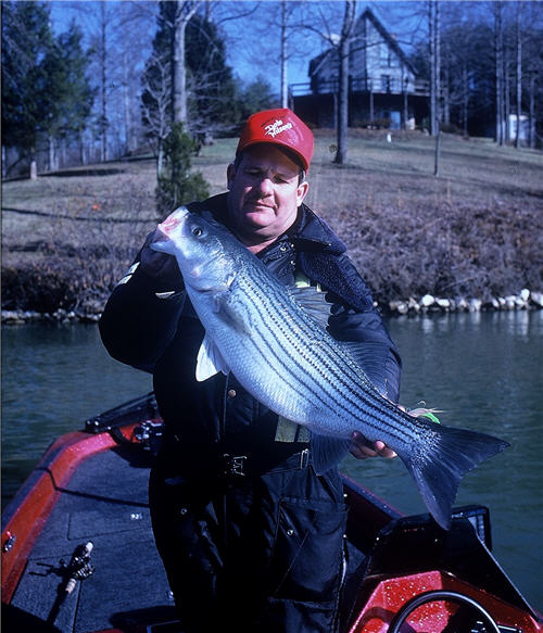 Spring stripe bass and angler on a lake