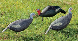 RedHead Foam Turkey Decoy 3-Pack