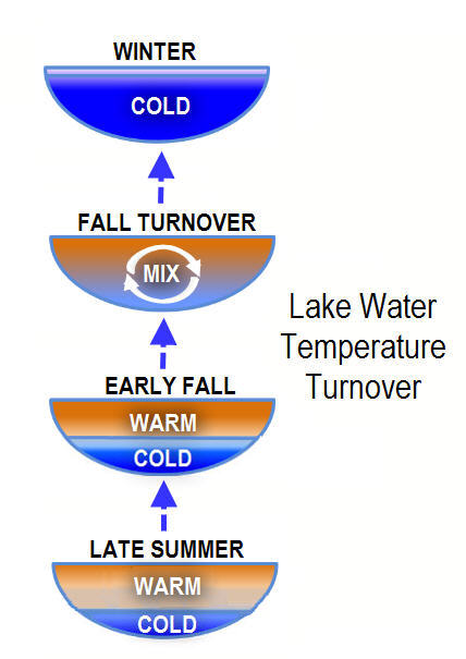 Cycles of lake water warm and cold temperatures to full mix at turnover from late summer to winter