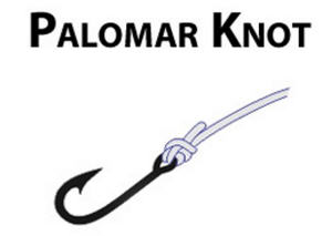 knot palomar