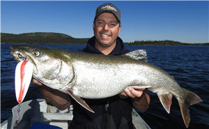 Use 3-Way Rigs on One of the Strangest Fighting Freshwater Fish, Lake Trout  (video)