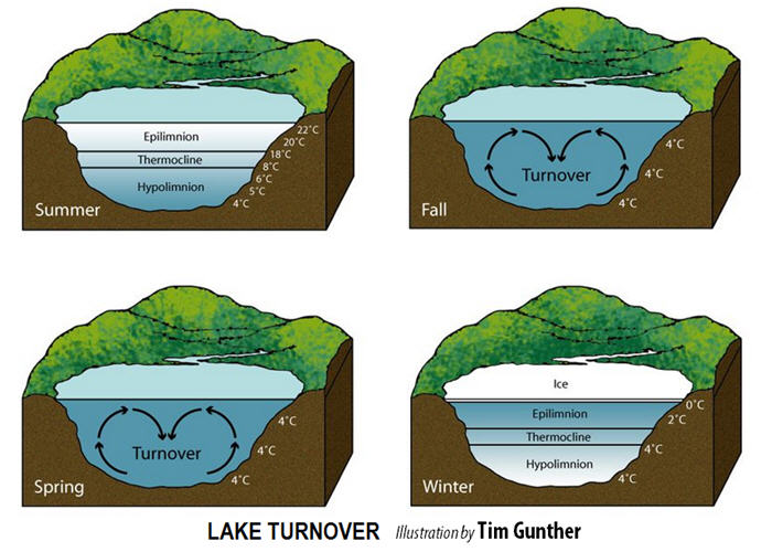 lake water turnover time gunther