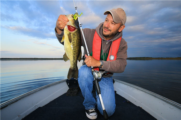 Frog Fishing Tips For Fall Bass Fishing, Video