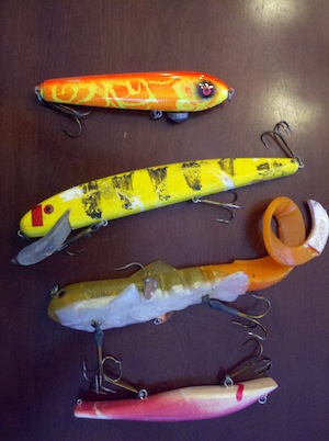 A Question of Muskie Bait Color
