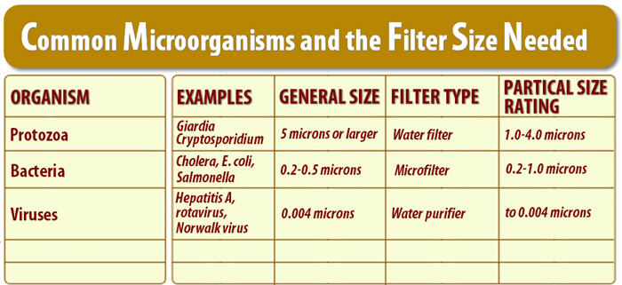 microbe chart 2