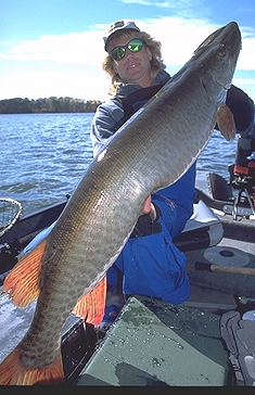 Muskies on the back cast