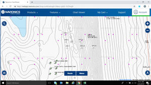 navionics display mapping contours 300