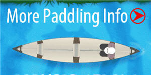 paddle image