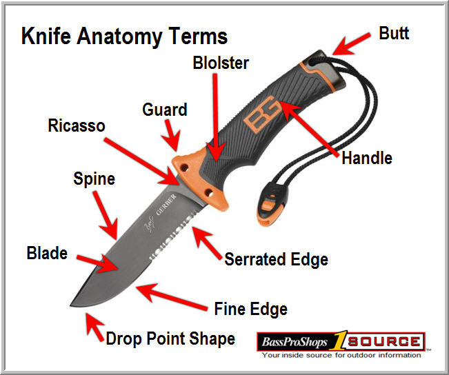 Identify the Parts of Your Knife