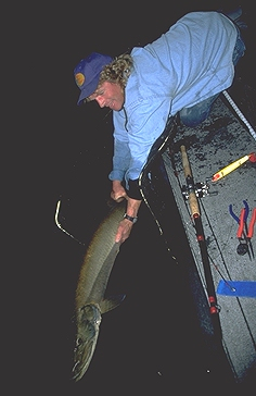 How to Get Out of a Summer Muskie Drought: Part 1 of 6: Night