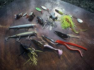 pickerel fishing lure options