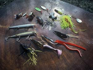 The Best Lure for Chain Pickerel 