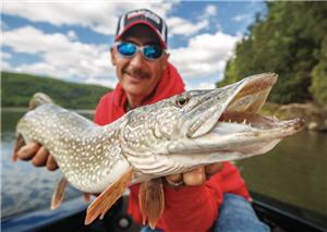 A Primer on Pike—Lures and Tactics for Catching Northern Pike