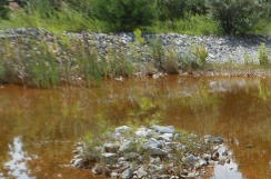 Pond With Iron Deposits