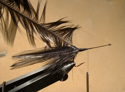 Feathers And Hook