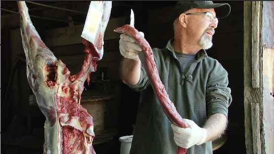 processing deer meat